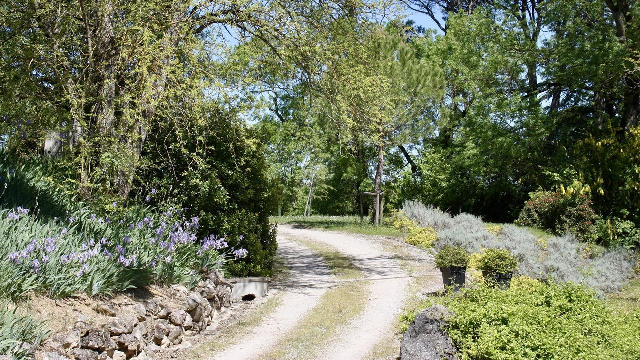 Domaine De Perches Bed and Breakfast Gaillac Εξωτερικό φωτογραφία